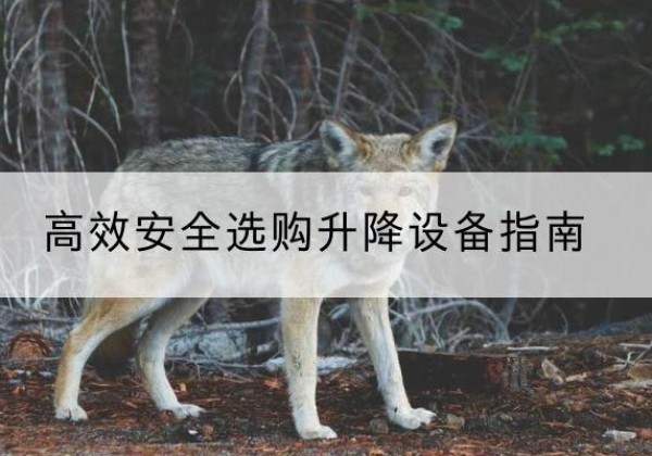 新建升降货梯厂家推荐-*安全选购升降设备指南