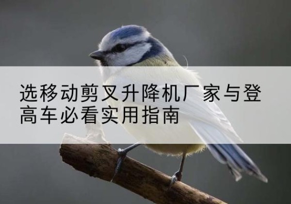 新建电动升降机厂家-选移动剪叉升降机厂家与登高车必看实用指南