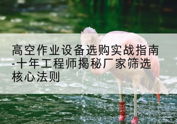 新建剪叉式升降机厂家-高空作业设备选购实战指南-十年工程师揭秘厂家筛选核心法则